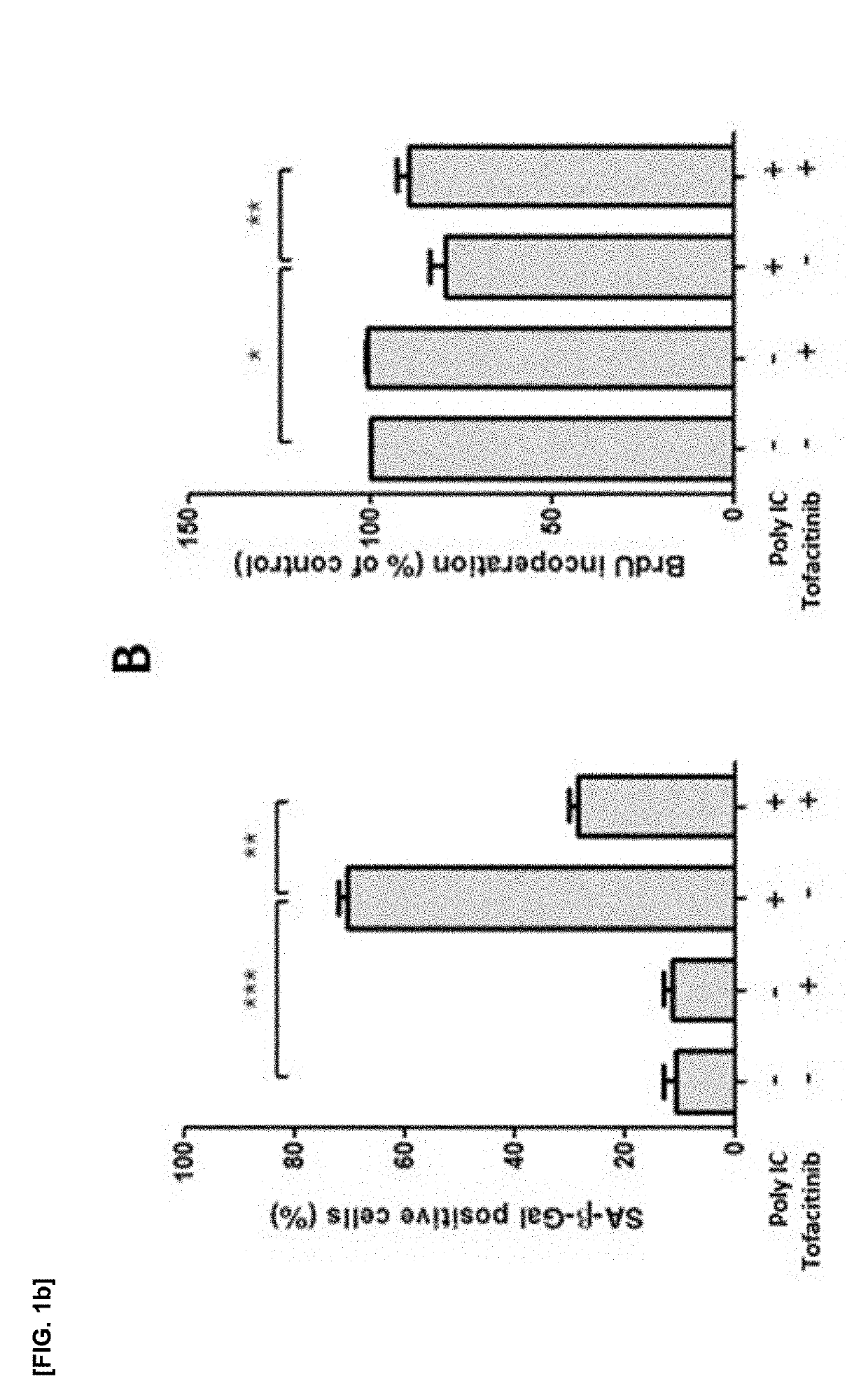 Composition for proliferation, differentiation promotion, or senescence inhibition of stem cells, containing jak1 inhibitor as active ingredient