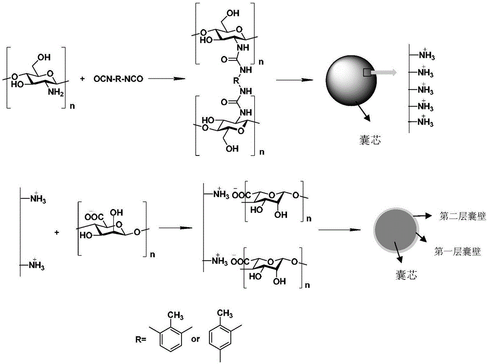 Allyl isothiocyanate double-layer micro-capsule sustained release agent taking chitosan as carrier, and preparation method thereof