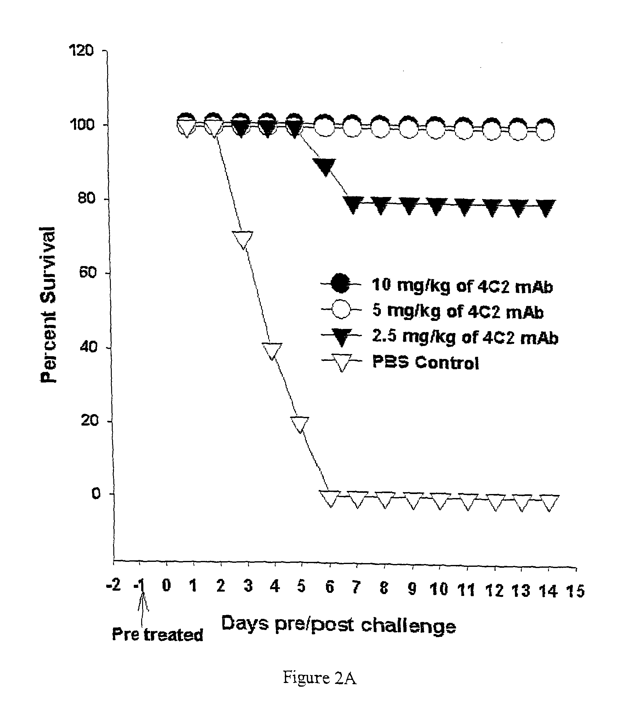 Monoclonal antibody specific to major neutralizing epitope of influenza H5 hemagglutinin