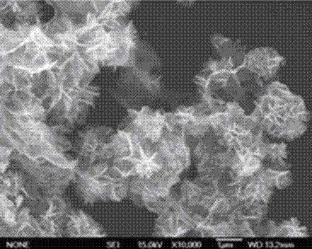 Preparation method for graphene load flower-shaped porous nickel oxide composite materials