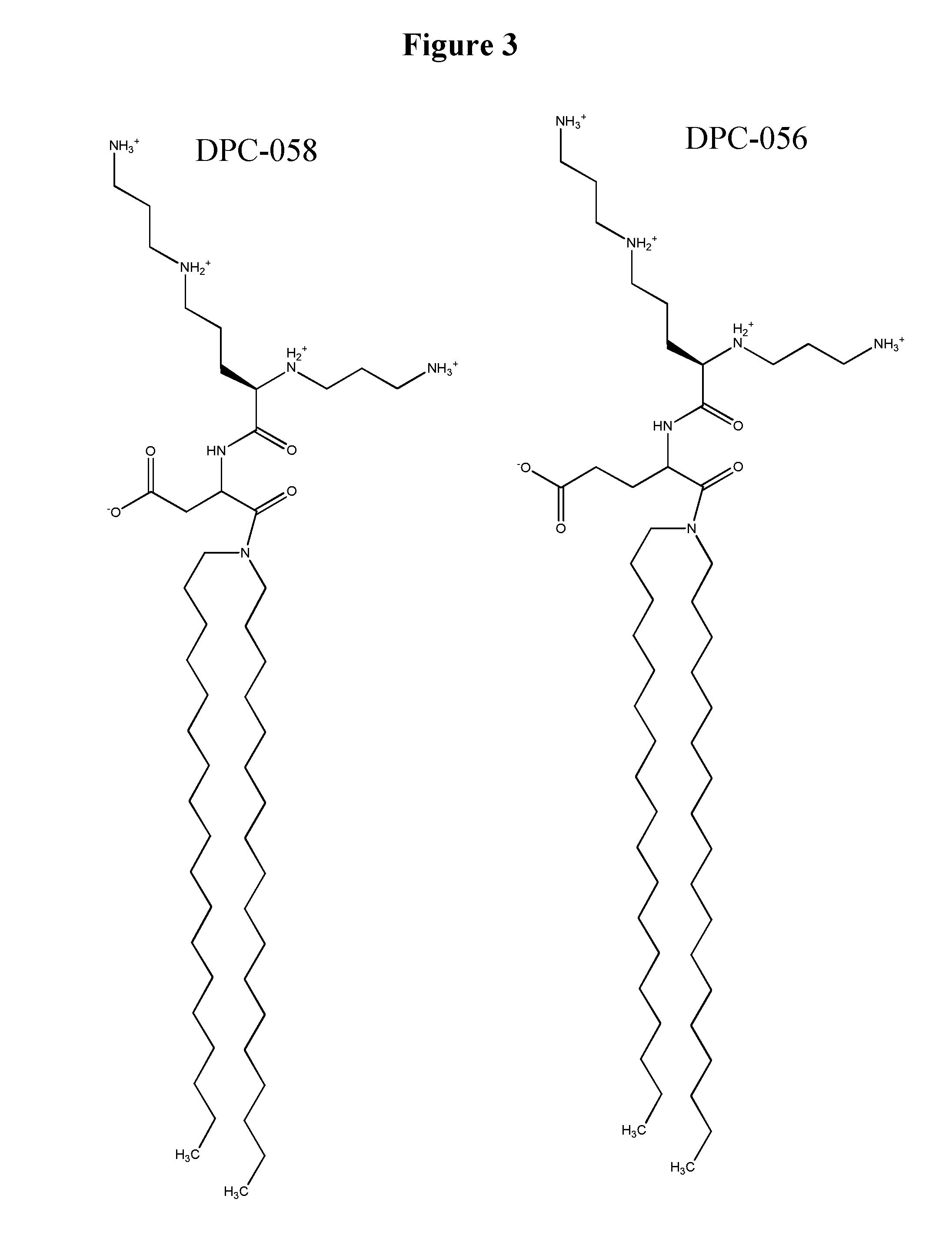 Lipid delivery formulations