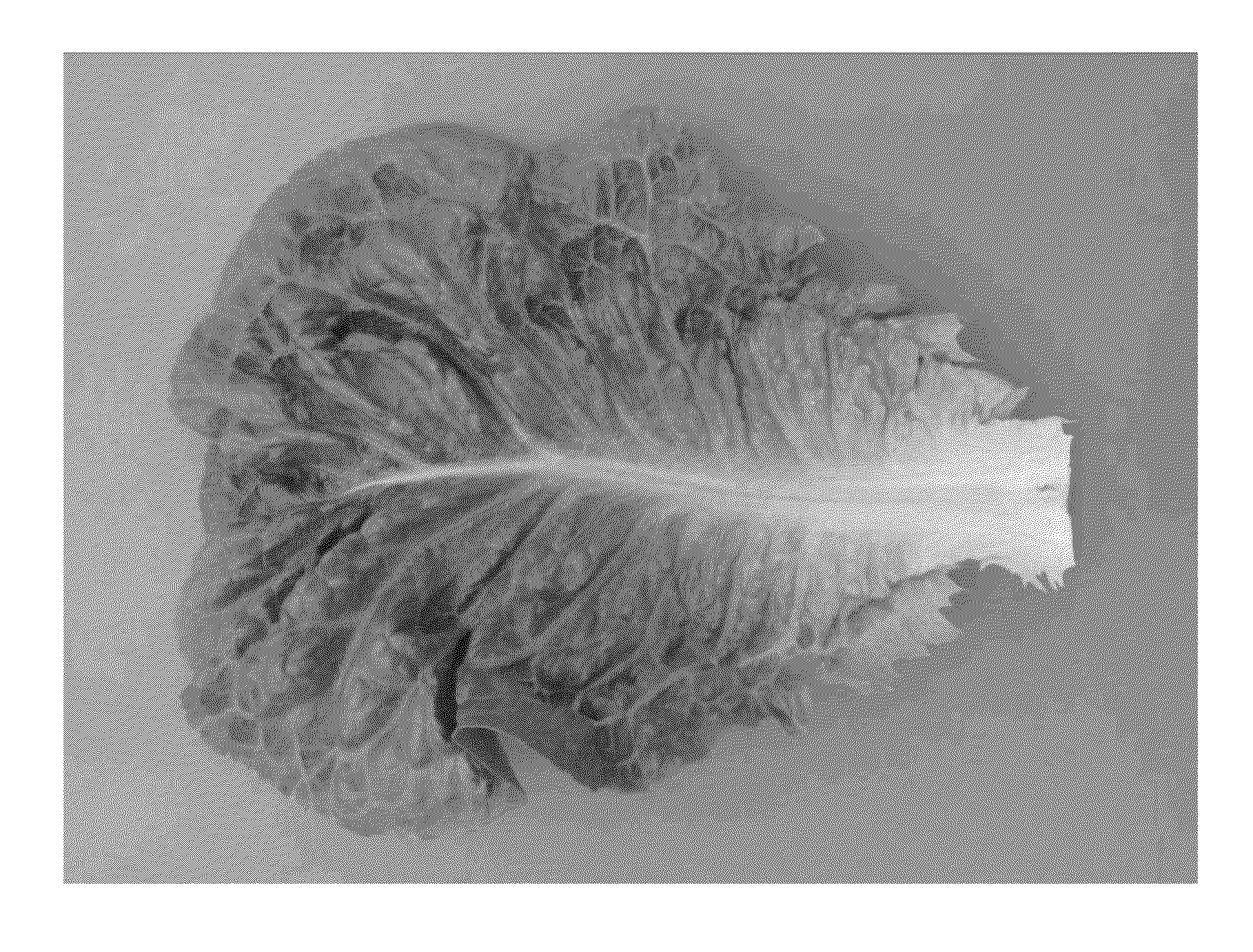 Lettuce variety 41-132 rz