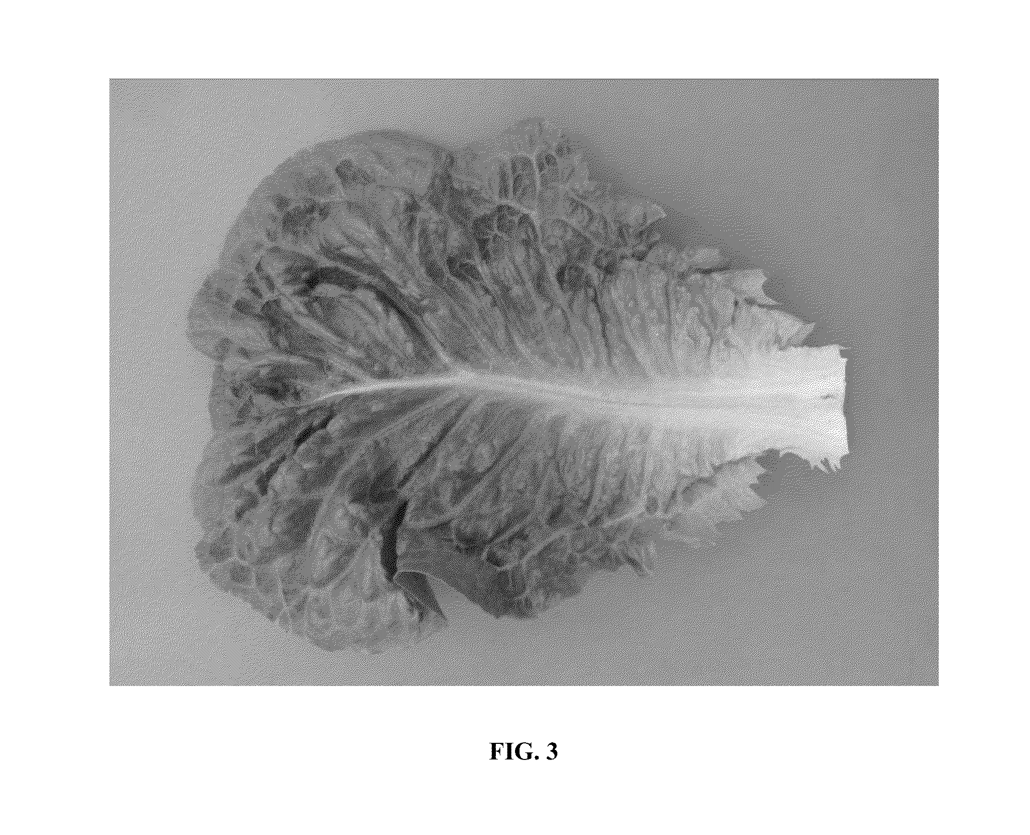 Lettuce variety 41-132 rz