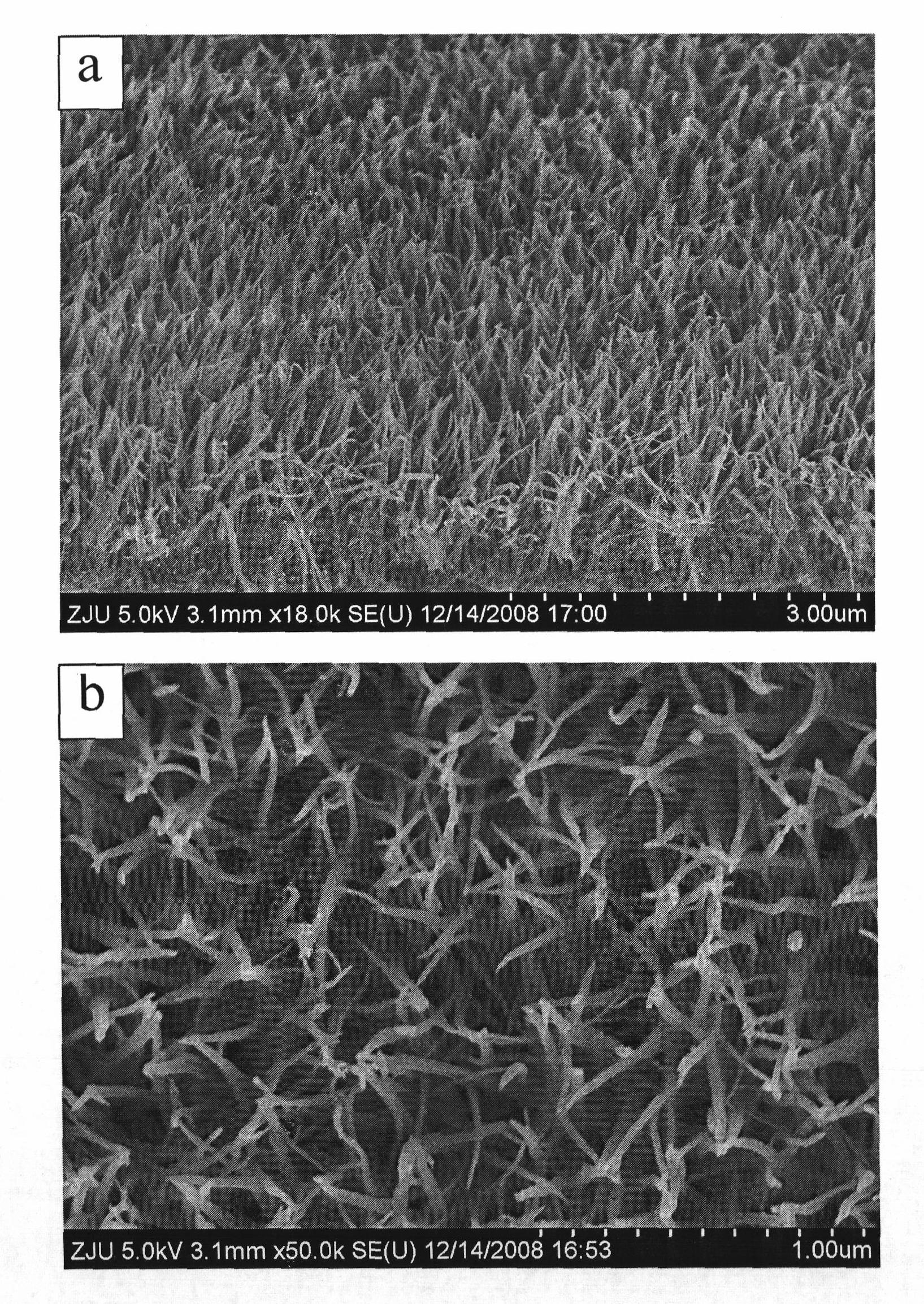 Method for producing nano-wire array film of titanium dioxide