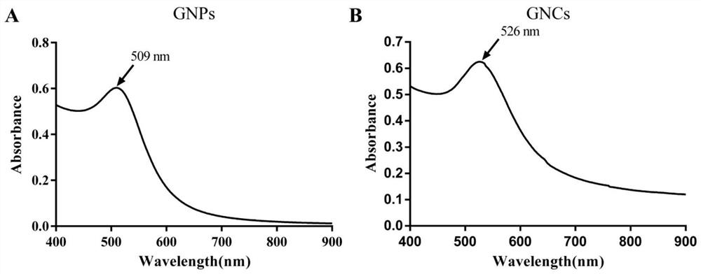 A permeation-enhanced gold nanocluster drug-loaded targeting agent and its preparation method and application