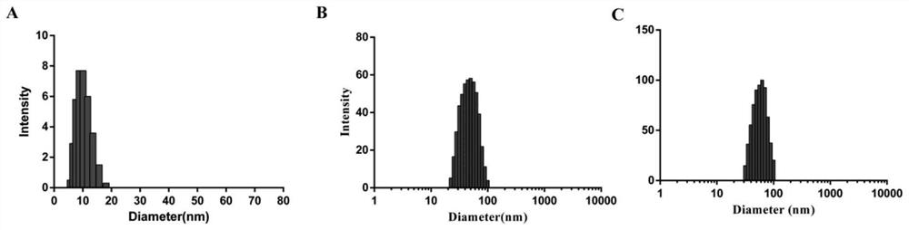 A permeation-enhanced gold nanocluster drug-loaded targeting agent and its preparation method and application