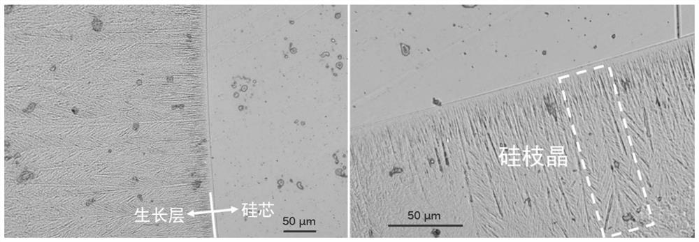 Interface wettability regulation and control method for inhibiting growth of silicon dendrites in CVD process of zone-melting-grade polycrystalline silicon