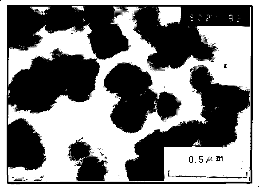 Preparation of calcium carbonate complex particle