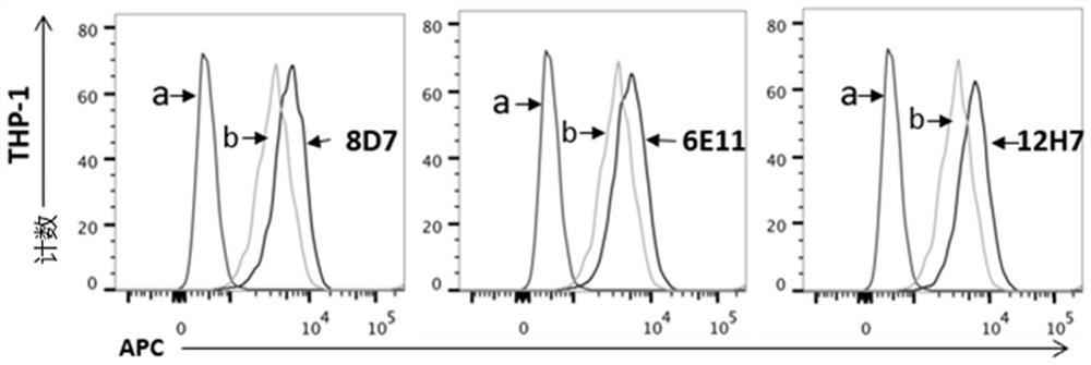 Anti-CD123 antibody and application thereof