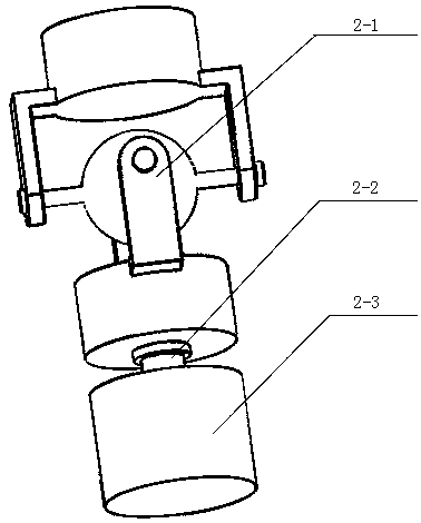 Plunger applicable to horizontal well