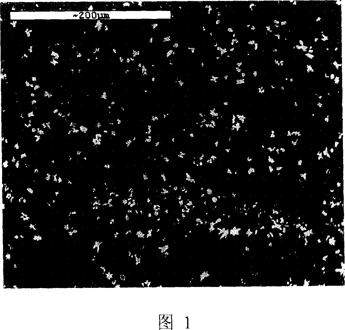 Iron-niobium-silicon alloy