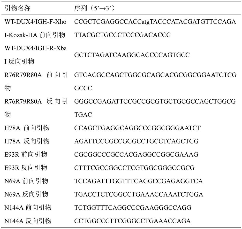 Application of hematologic tumor prognosis related gene