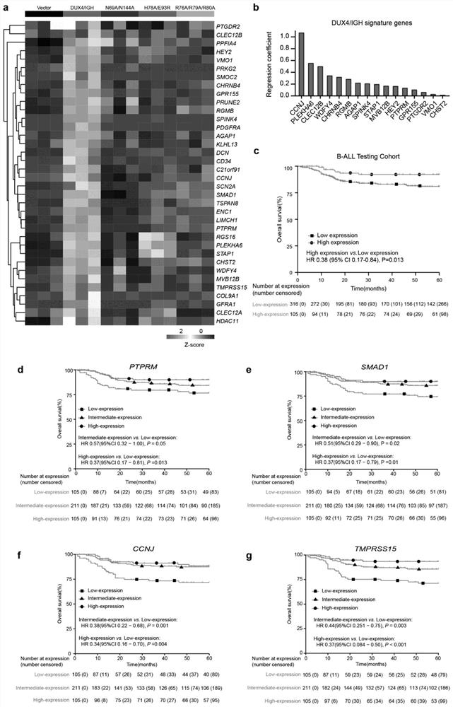 Application Of Hematologic Tumor Prognosis Related Gene - Eureka ...