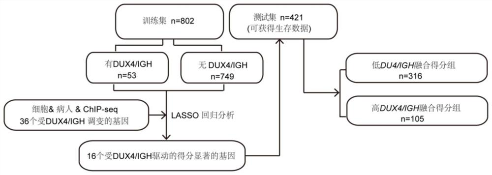 Application of hematologic tumor prognosis related gene