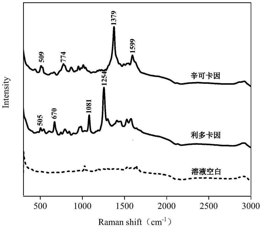 Method for rapidly detecting caine local anesthetics added in cosmetics