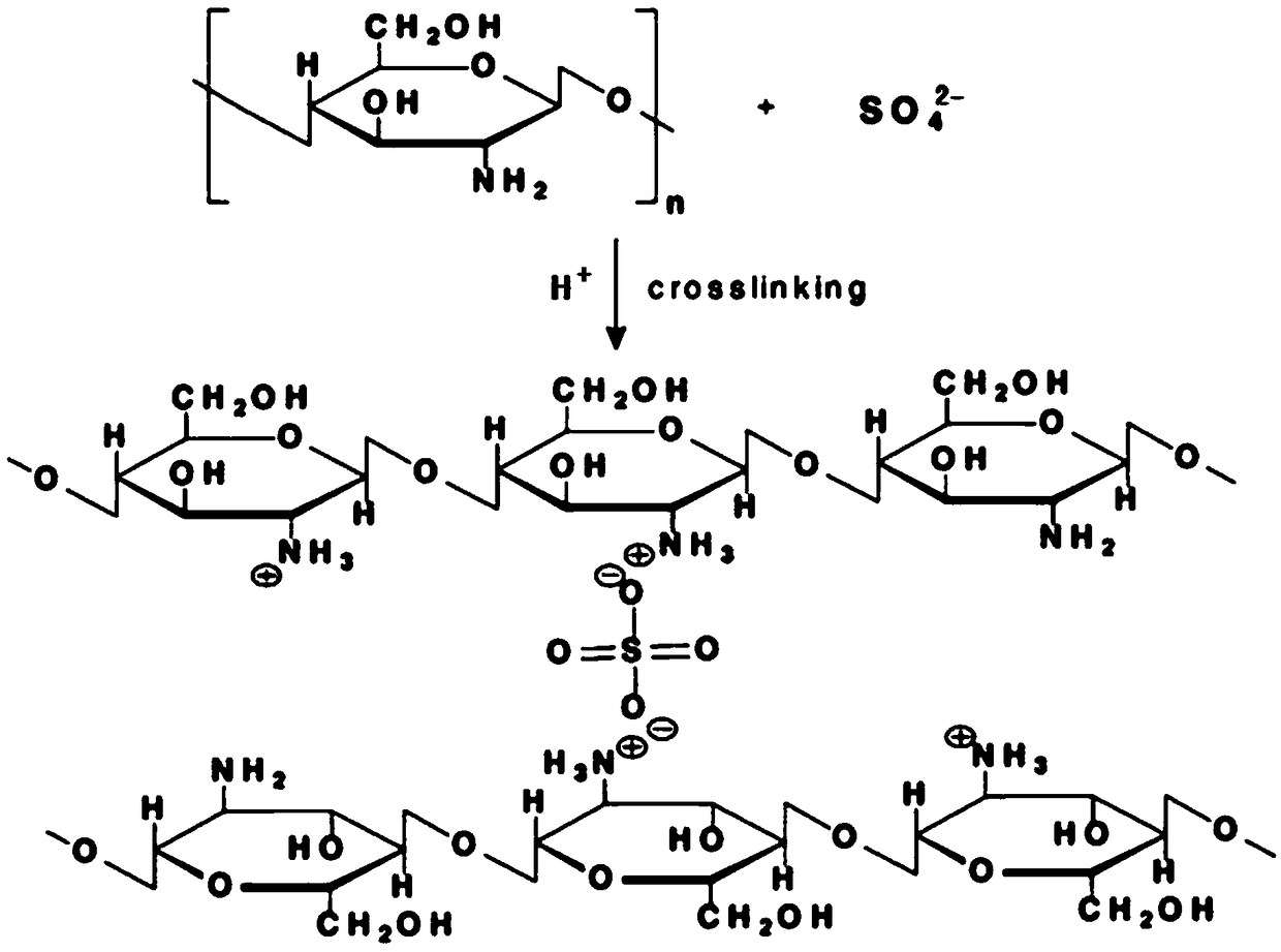 Preparation method, adsorbent and application of three-dimensional chitosan-metal ring complex