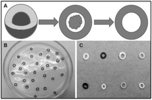 Preparation method, adsorbent and application of three-dimensional chitosan-metal ring complex