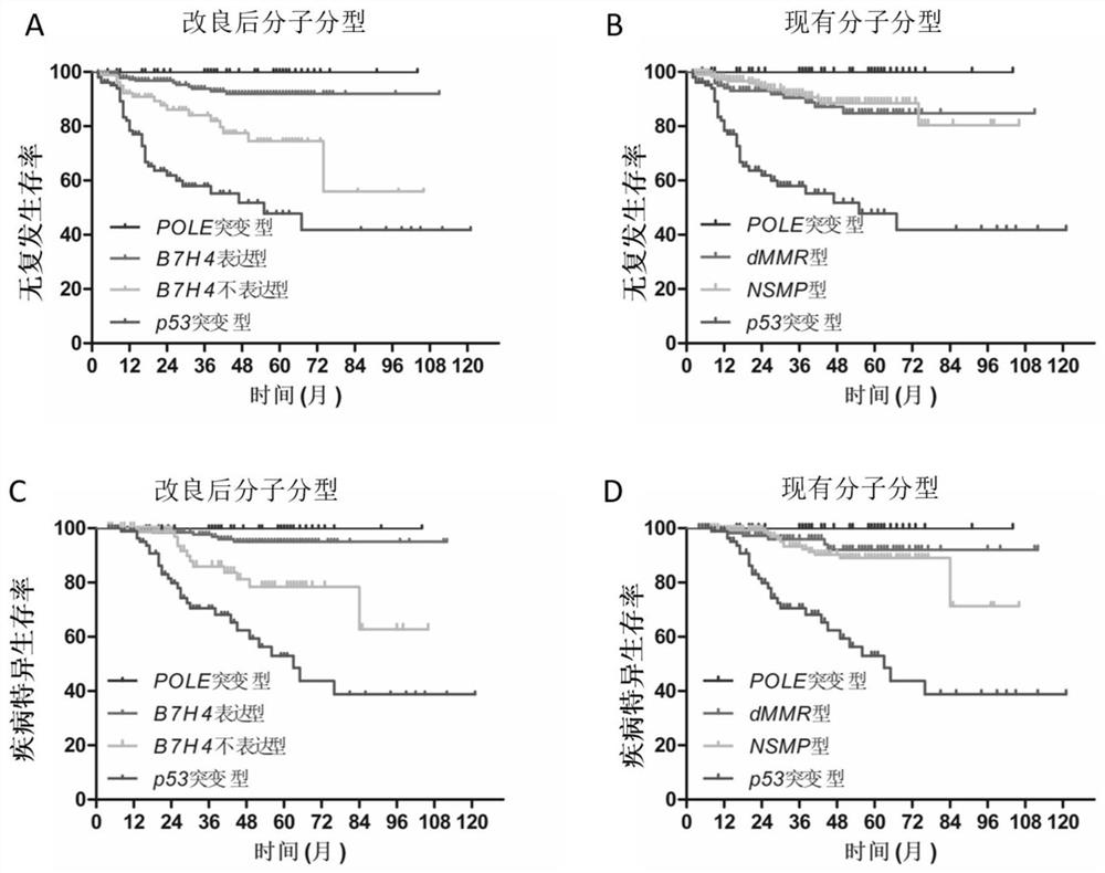 Application of B7H4 in preparation of endometrial cancer molecular typing reagent and system
