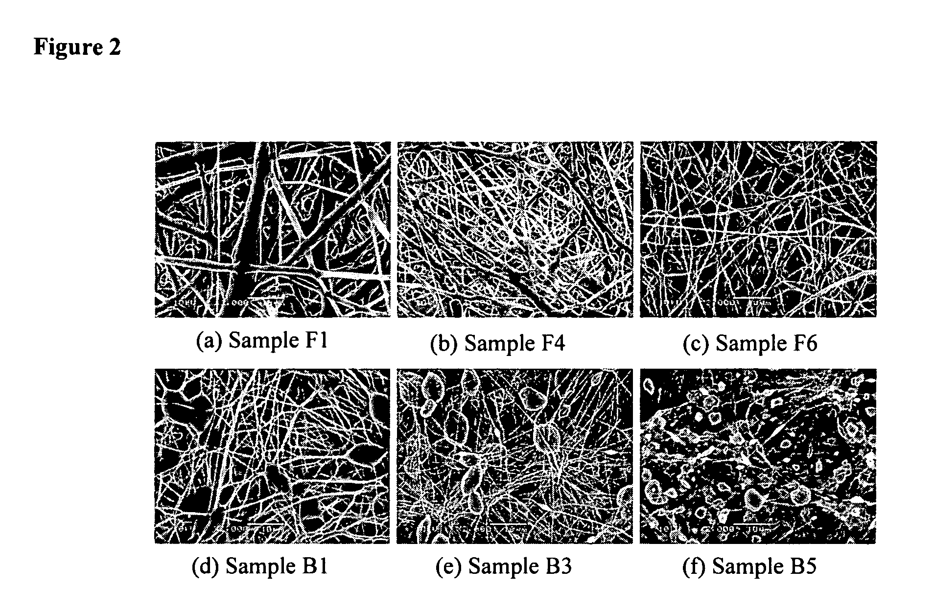 Superhydrophobic fibers produced by electrospinning and chemical vapor deposition
