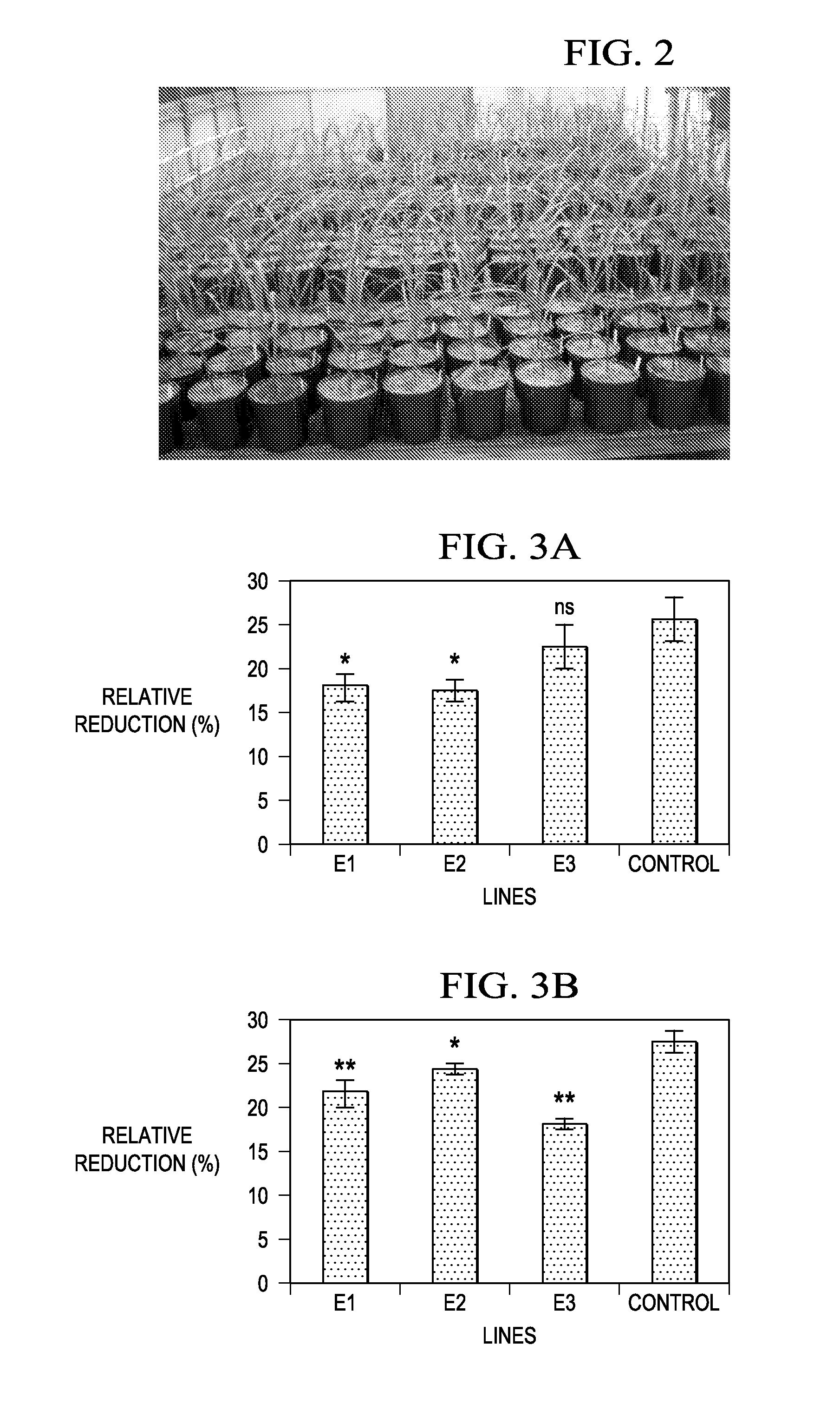 Compositions, organisms, systems, and methods for altering cold, drought, and salt tolerance in plants