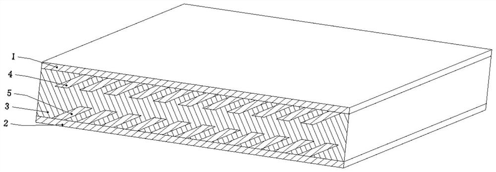 Double-side anti-delamination sandwich panel with oblique ribs and its application, connection and preparation method
