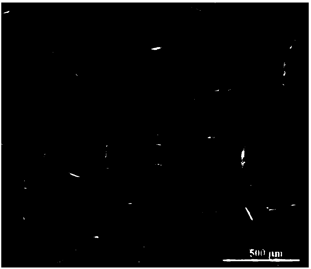 Hydrogel with adjustable structure size, preparation method and application thereof