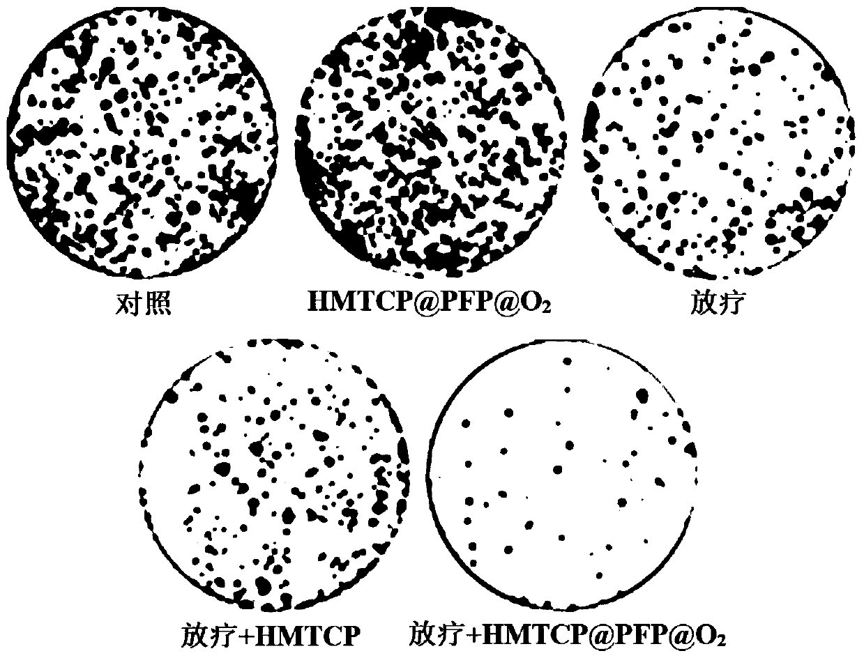 Composite nanoparticles as well as preparation method and application thereof