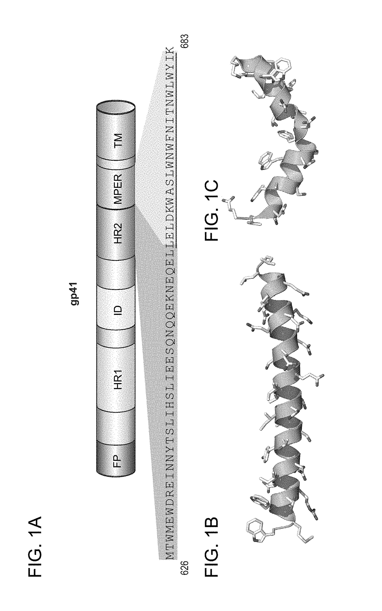 Hydrocarbon stapled stabilized alpha-helices of the HIV-1 GP41 membrane proximal external region