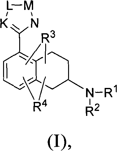 Heterocyclyl-substituted-tetrahydro-naphthalen-amine derivatives, their preparation and use as medicaments