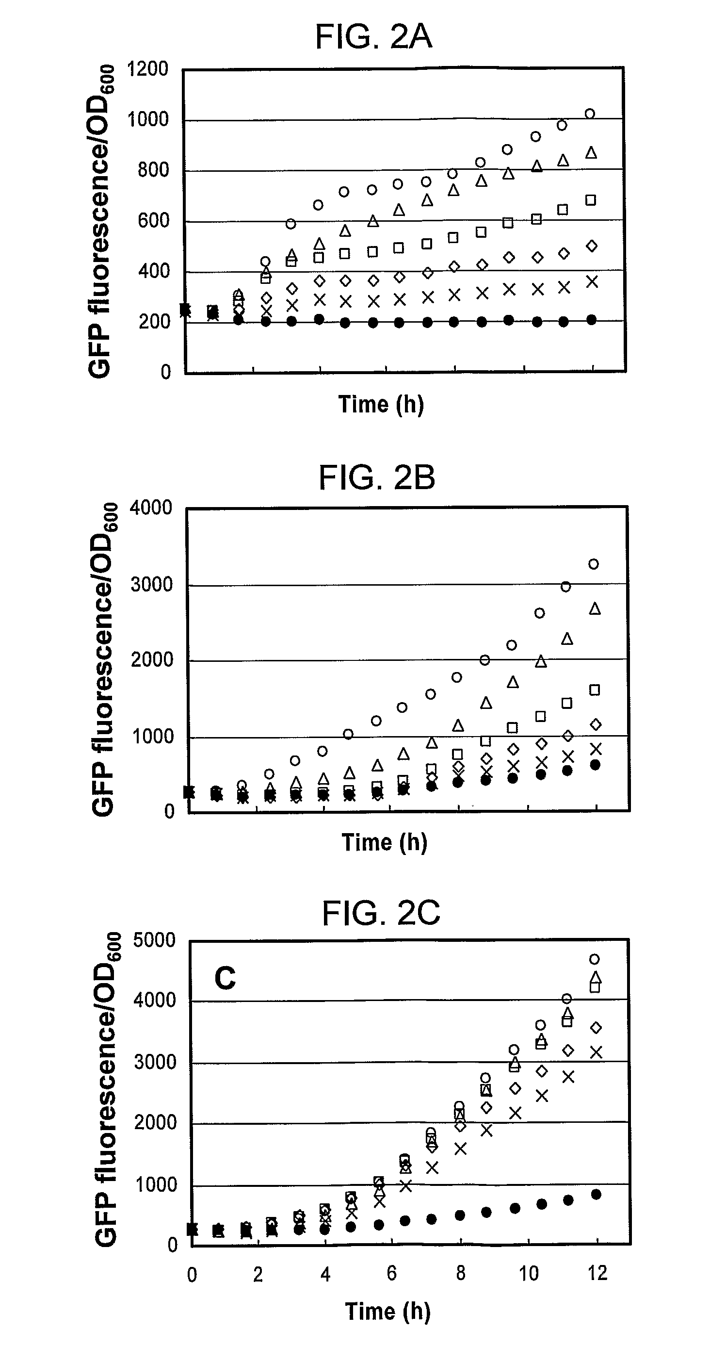 Inducible expression vectors and methods of use thereof