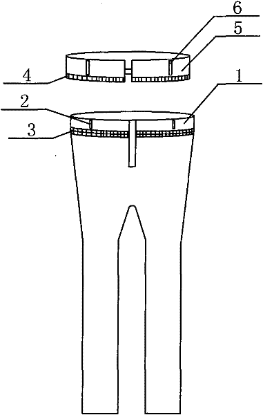 Trousers with replaceable waist of trousers