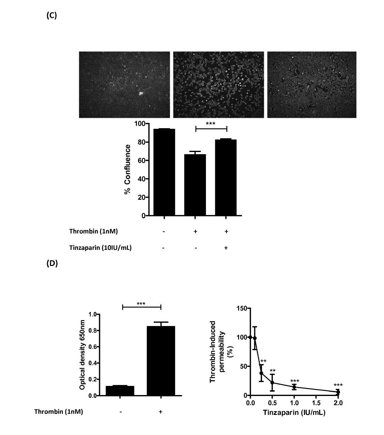 Heparin and Statin Combinations for Preventing Metastatic Cancer