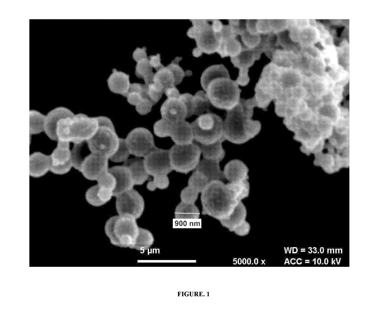 Stealth, targeted nanoparticles (STN) for oral drug delivery