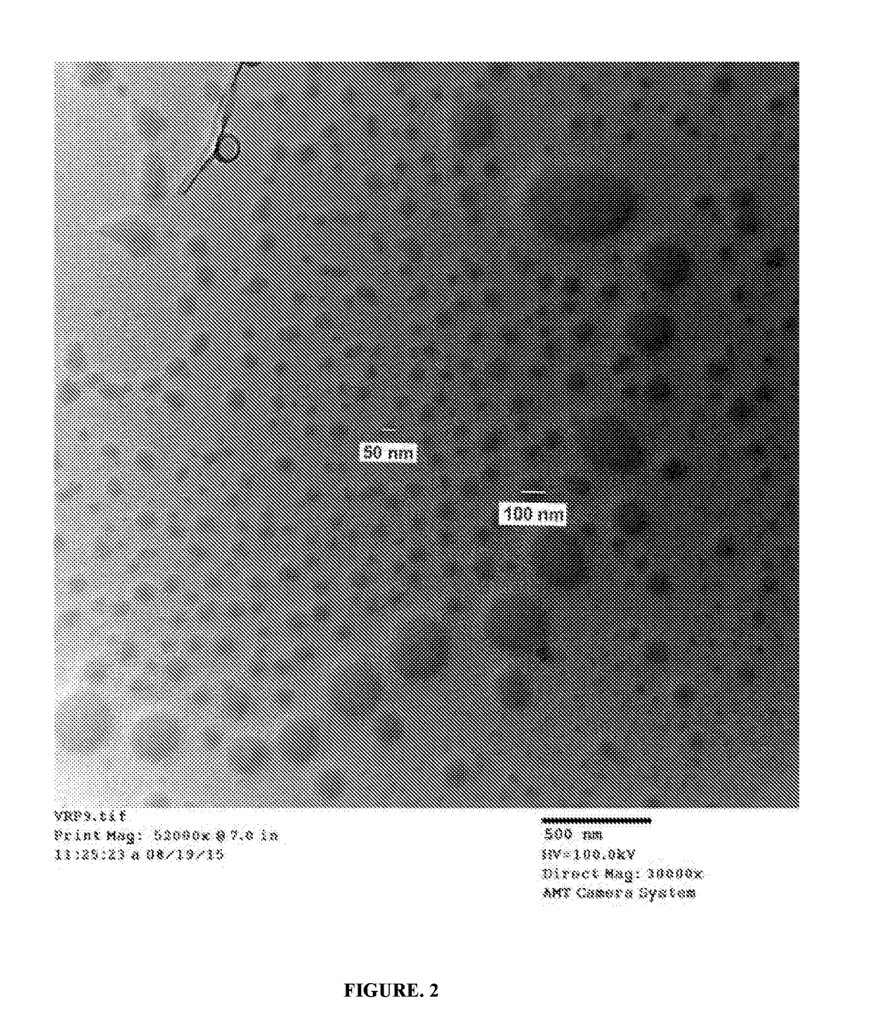 Stealth, targeted nanoparticles (STN) for oral drug delivery