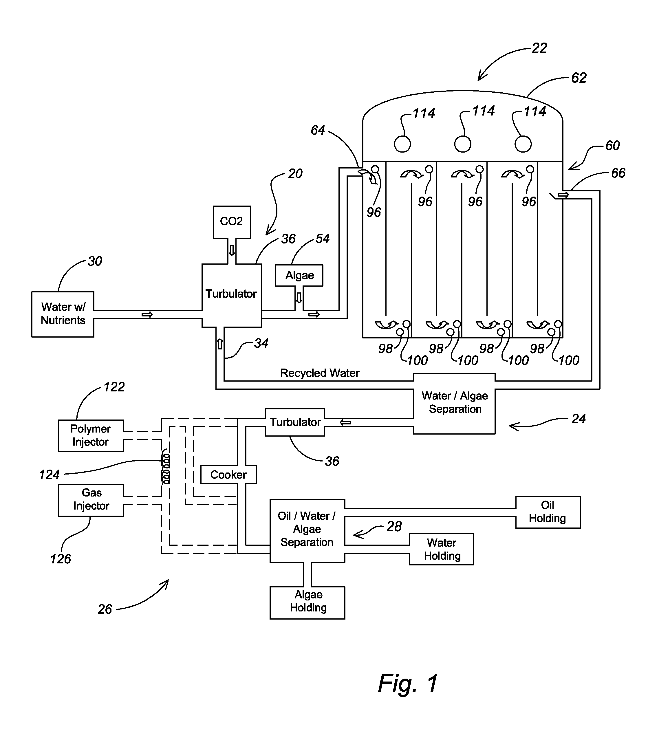 System for the production and harvesting of algae