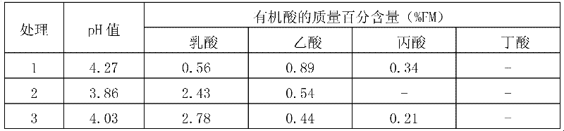 Lactobacillus plantarum and application thereof in fermenting and ensiling sweet potato stem and leaf