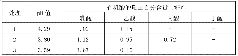 Lactobacillus plantarum and application thereof in fermenting and ensiling sweet potato stem and leaf