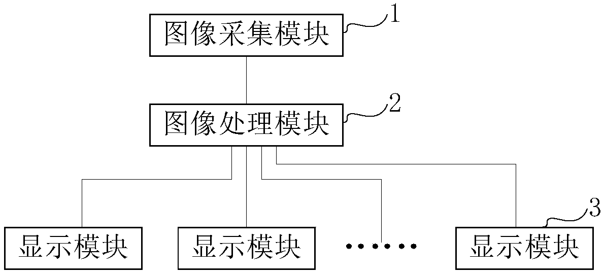 Panoramic video distribution monitoring system and method