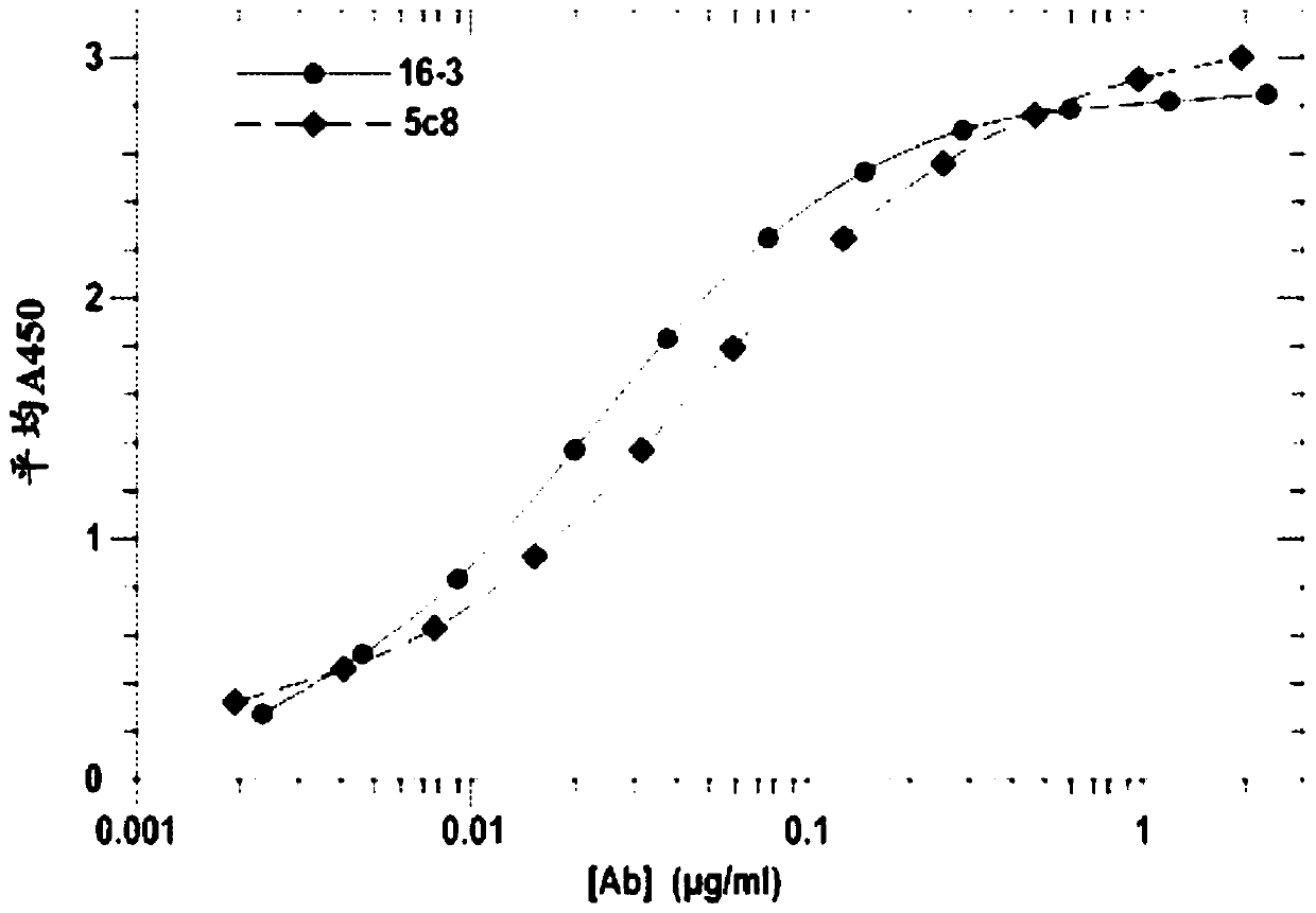 Therapeutic Anti-cd40 ligand antibodies