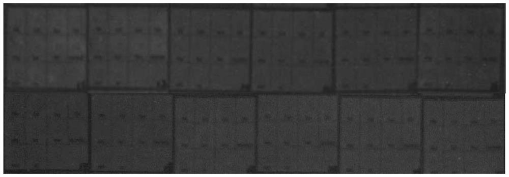 Kit for quantum dot nucleic acid detection of bacterial intestinal pathogen