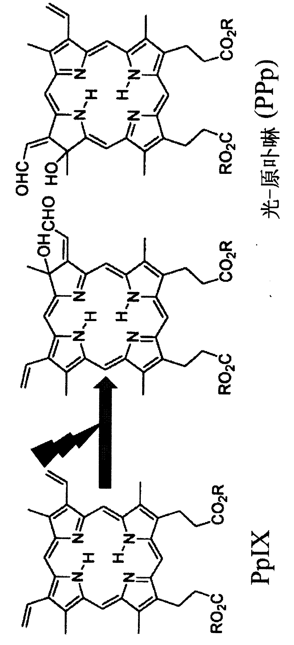 Tumor site identification device and method