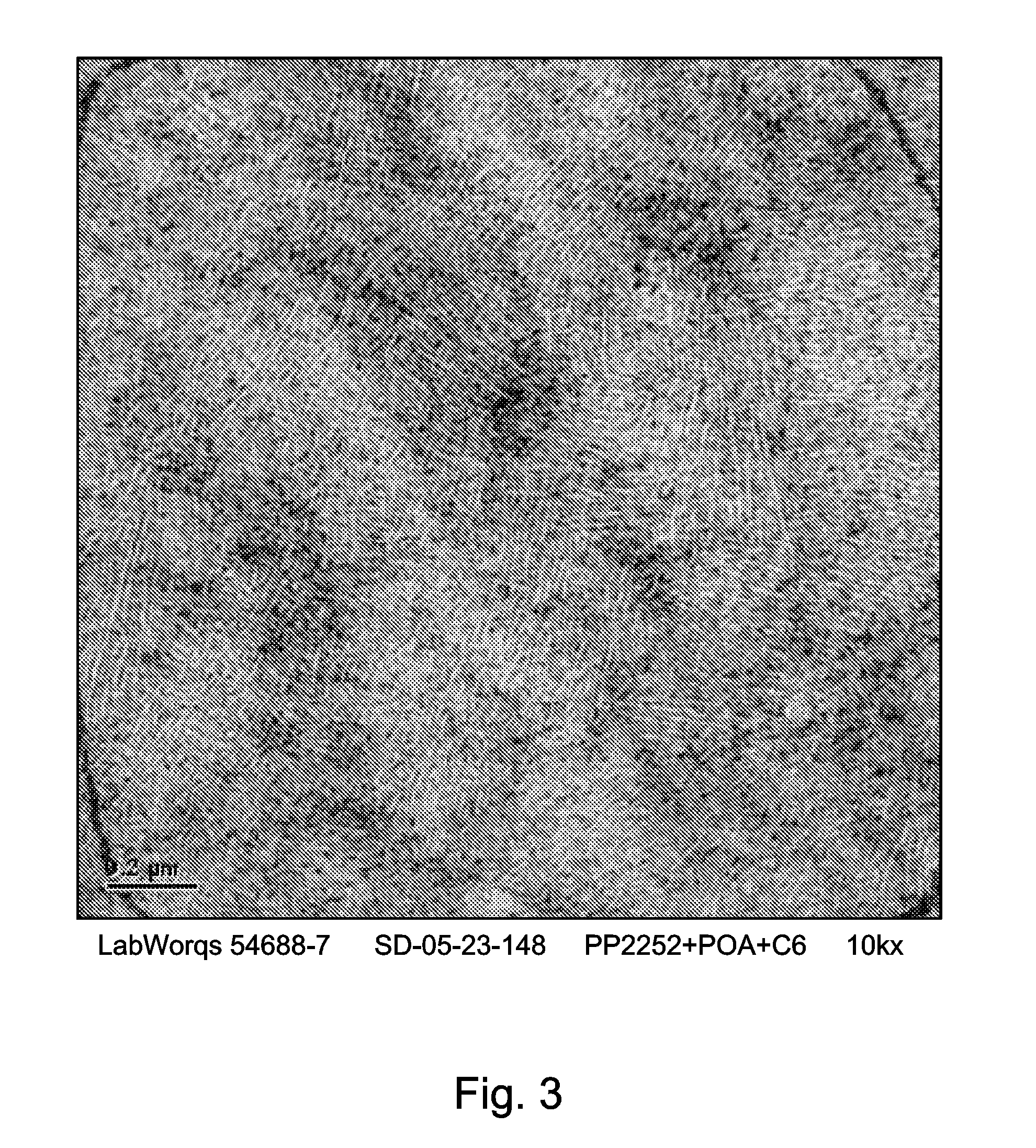 Soft Heterogeneous Isotactic Polypropylene Compositions