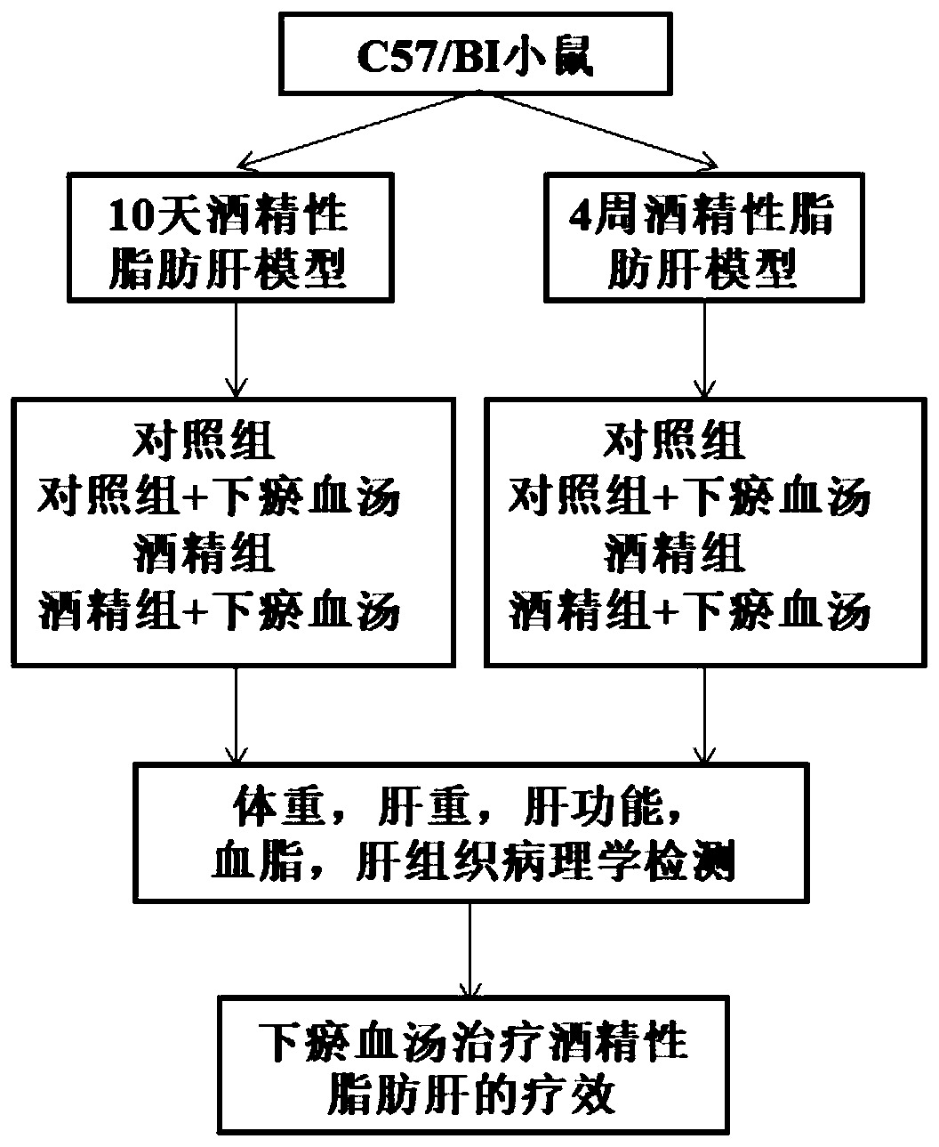 Application of traditional Chinese medicine composition in preparing medicine capable of treating chronic alcoholic steatohepatitis