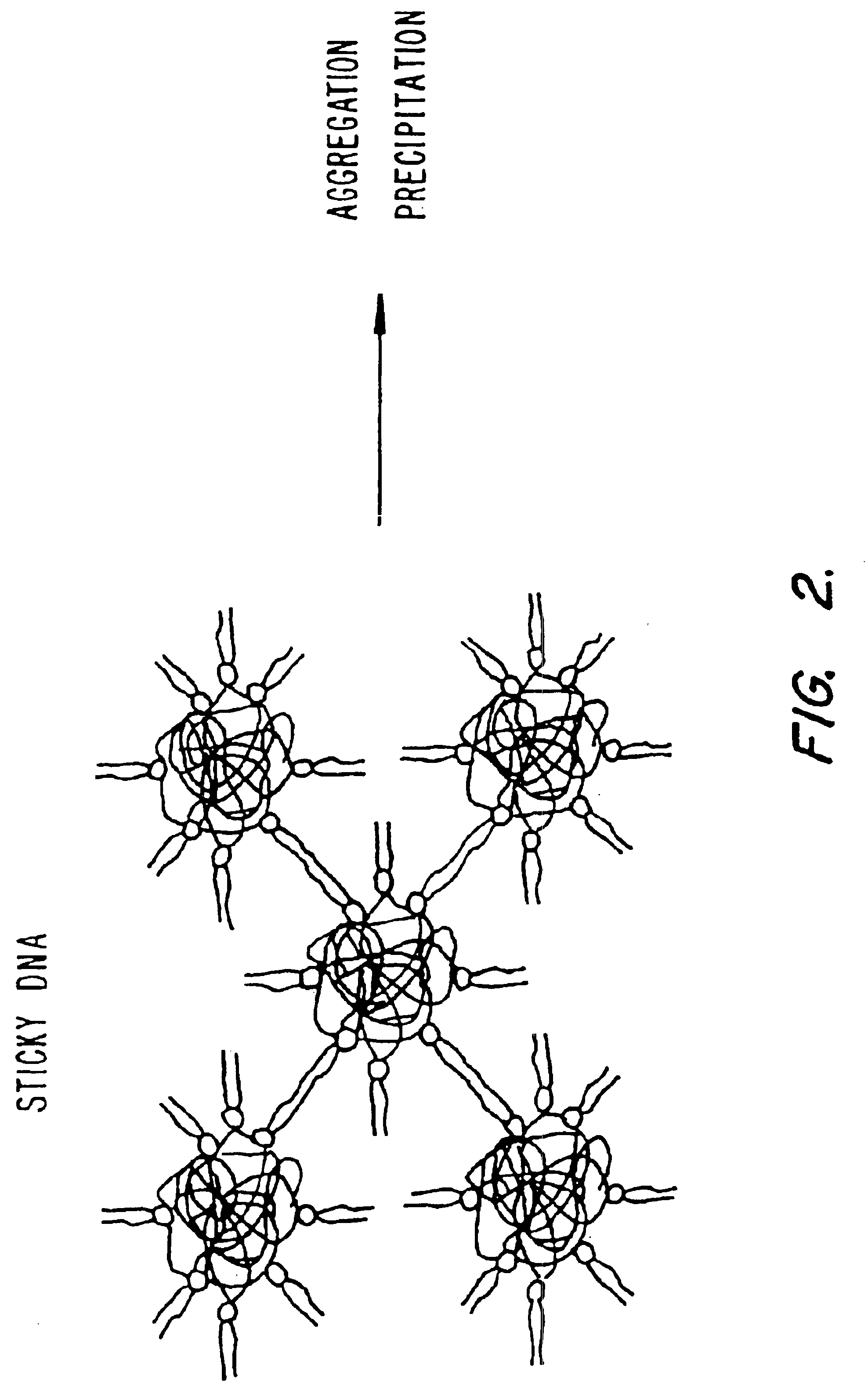 Method of preventing aggregation of a lipid:nucleic acid complex