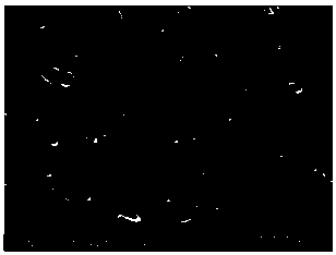 A kind of preparation method of β-gallium oxide nanometer array