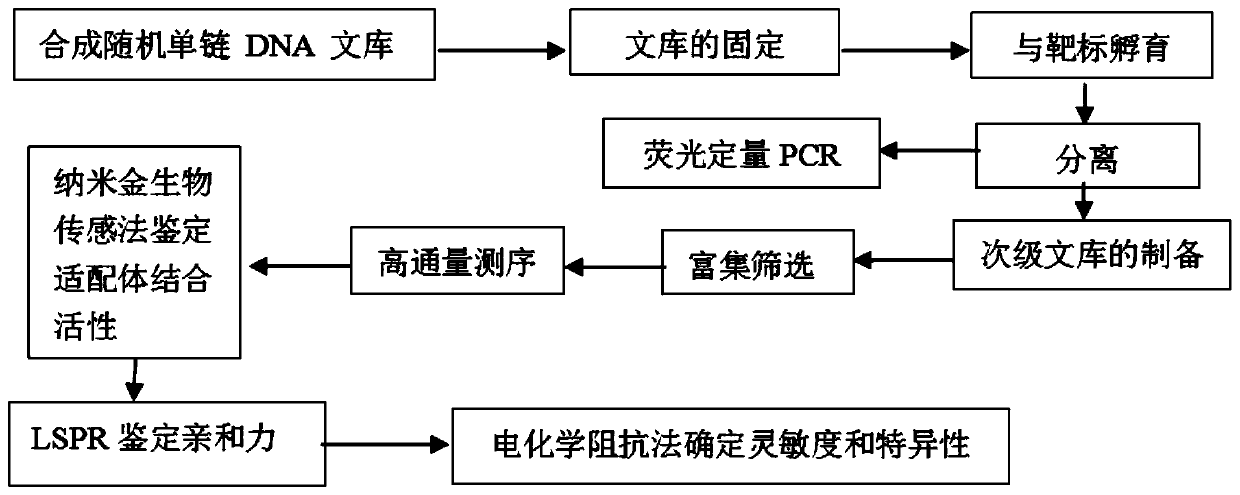 Nucleic acid aptamer for specifically identifying di (2-ethyl) hexyl phthalate and screening method and application of nucleic acid aptamer