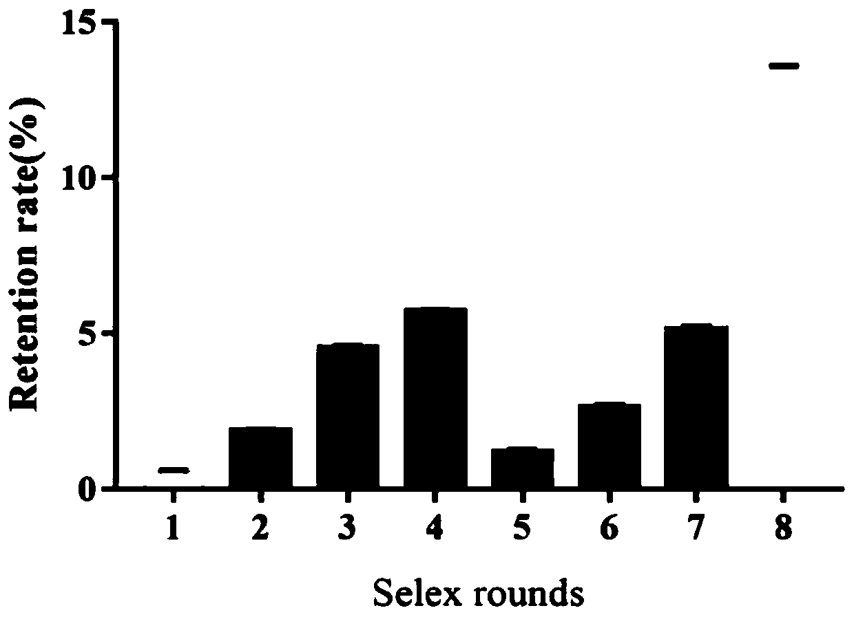 Nucleic acid aptamer for specifically identifying di (2-ethyl) hexyl phthalate and screening method and application of nucleic acid aptamer