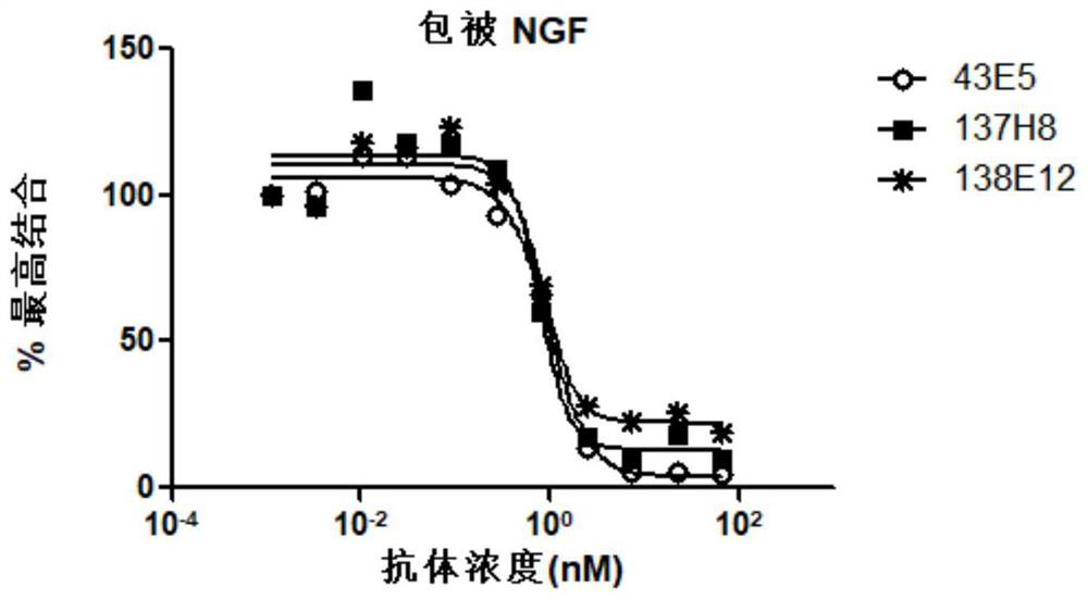 Anti-NGF antibody and antigen binding fragment thereof, and preparation method and application thereof