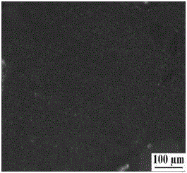 Medium temperature coal pitch modification method and product