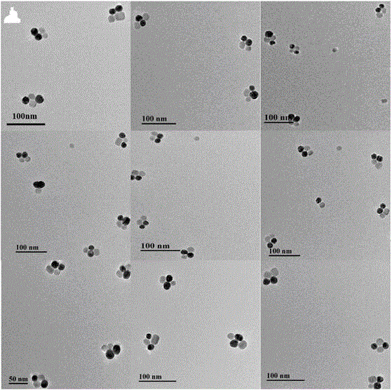 Method for double-signal in-situ detection of intracellular microRNA based on gold-upconversion nanoparticle tetrahedron